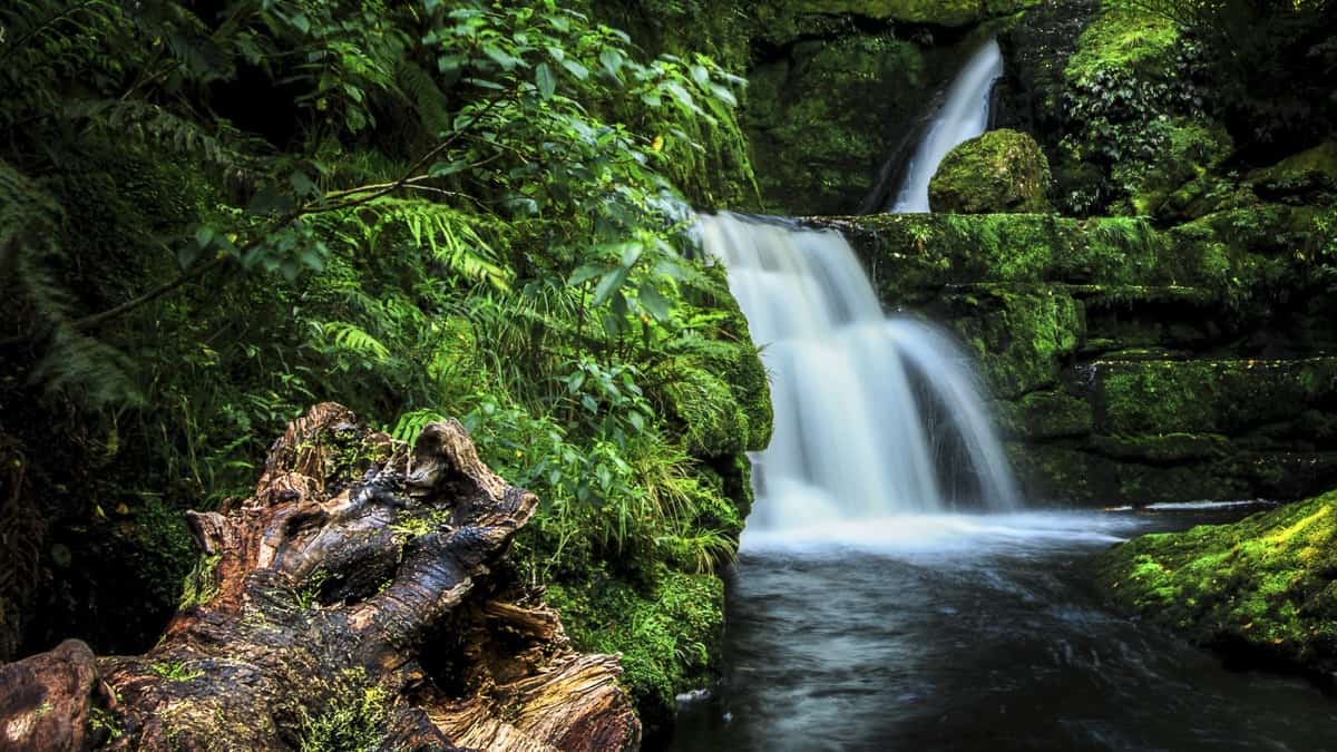 catlins motorcycle route