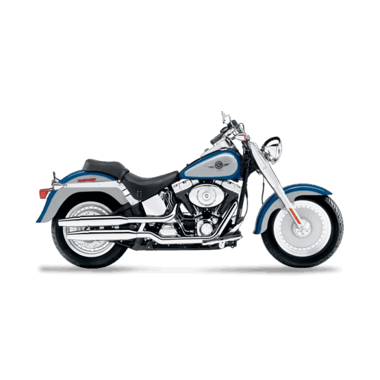 Harley-Davidson FLSTF