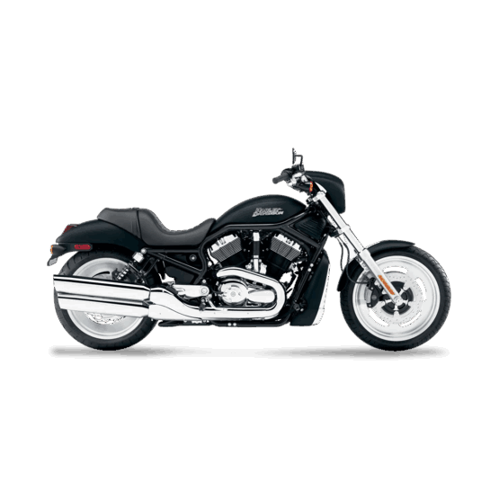 Harley-Davidson Night Rod for hire