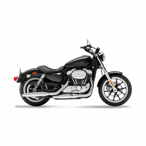 Harley-Davidson Sportster 883 Low for hire