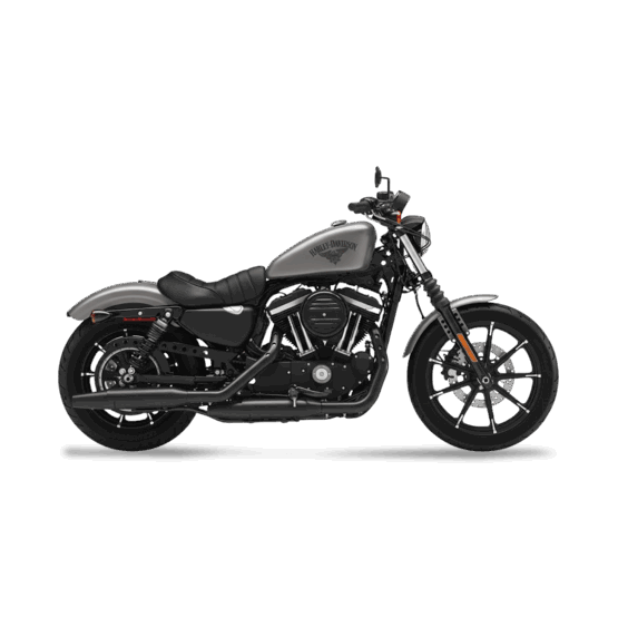 Harley-Davidson XL 883N Sportster Iron