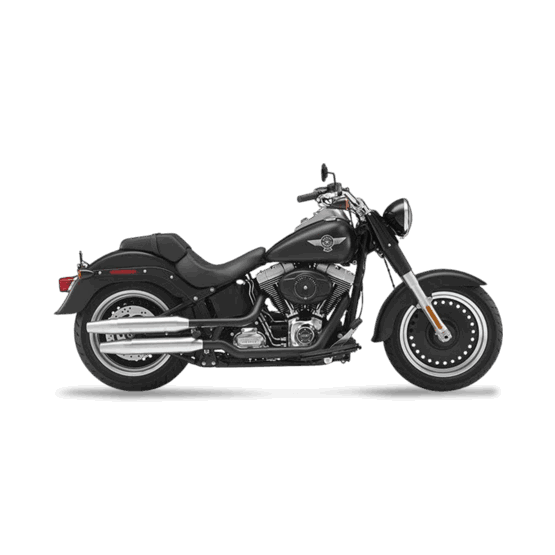 Harley-Davidson FLSTFB Fat Boy Lo