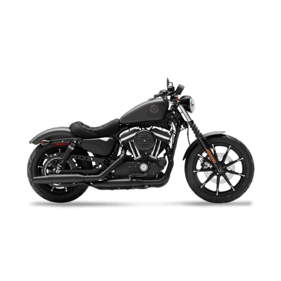 Harley-Davidson XL883N Iron 883