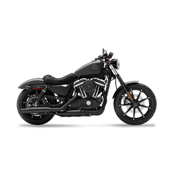 Harley-Davidson XL883N Sportster Iron for hire