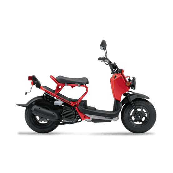 Honda Ruckus 50 for hire
