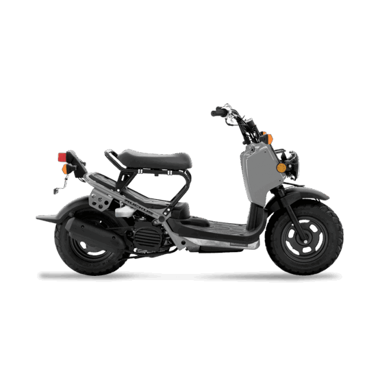 Honda Ruckus for hire