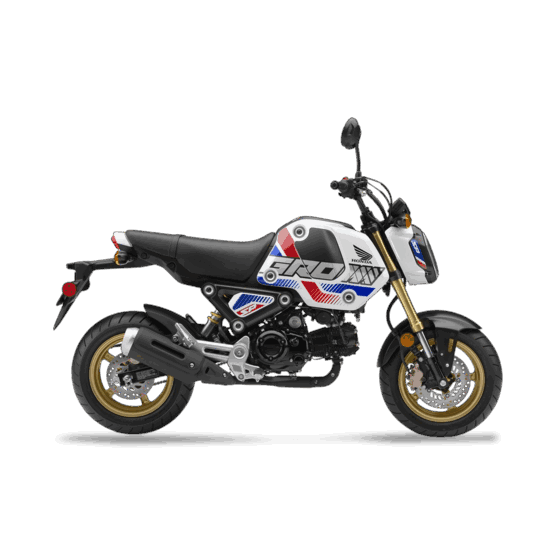 Honda Grom SP for hire