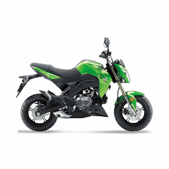 Kawasaki Z125 Pro