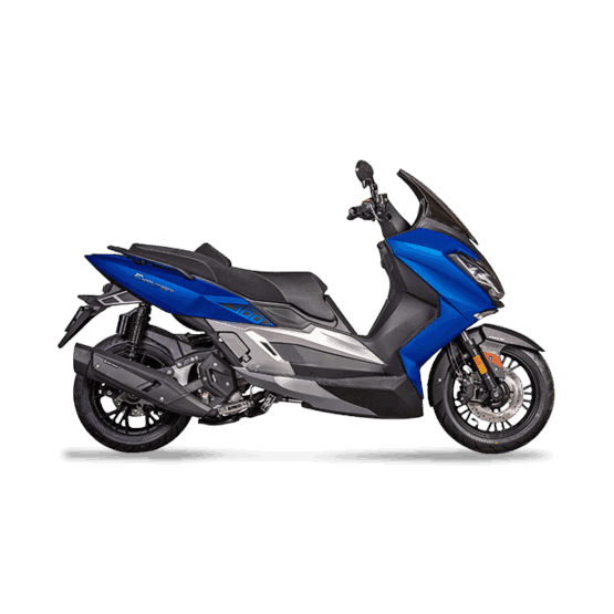 Taro Explorer 300