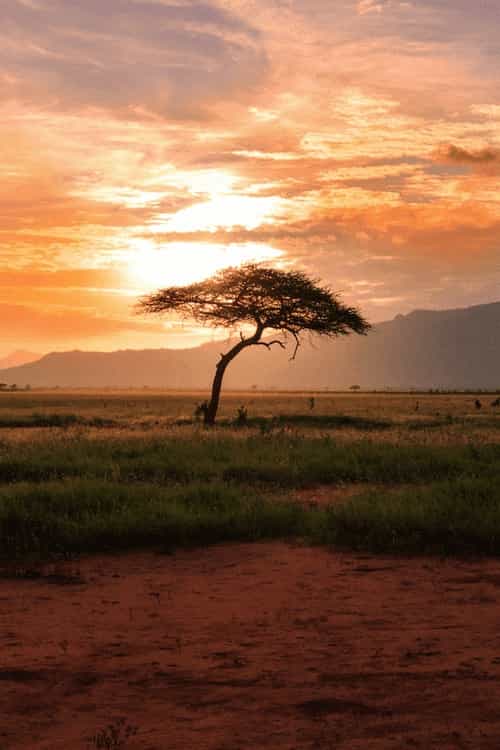 motorbike rentals in Marrakech